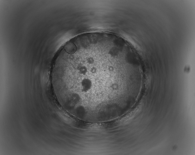 X0000101441259200807141257