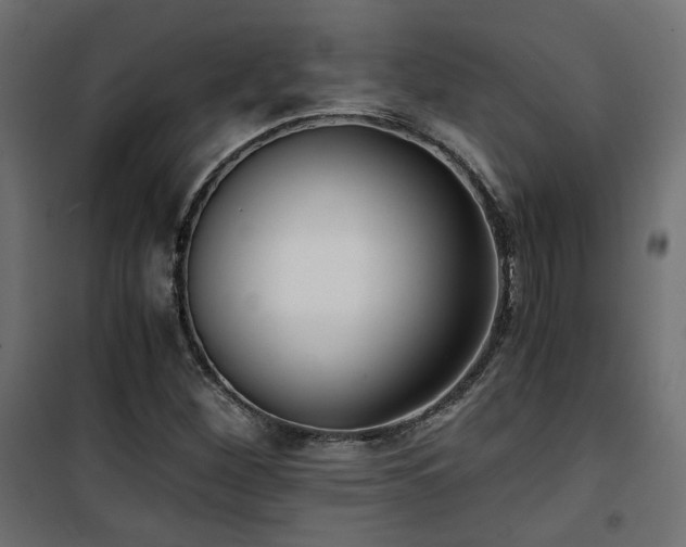 X0000101441260200807141257