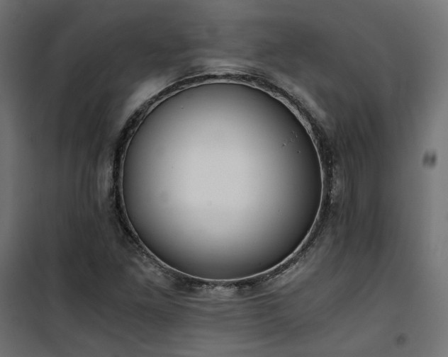 X0000101441261200807141257