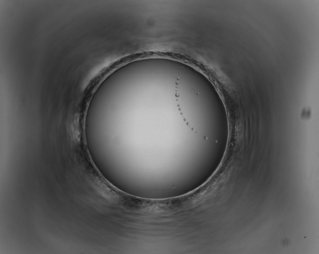 X0000101441262200807141257