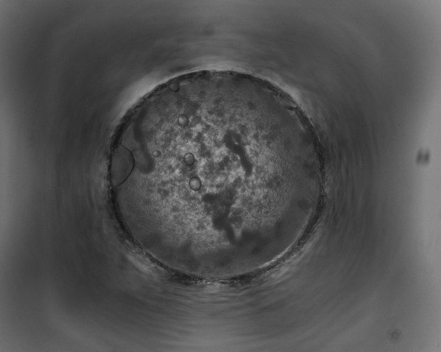 X0000101441263200807141257