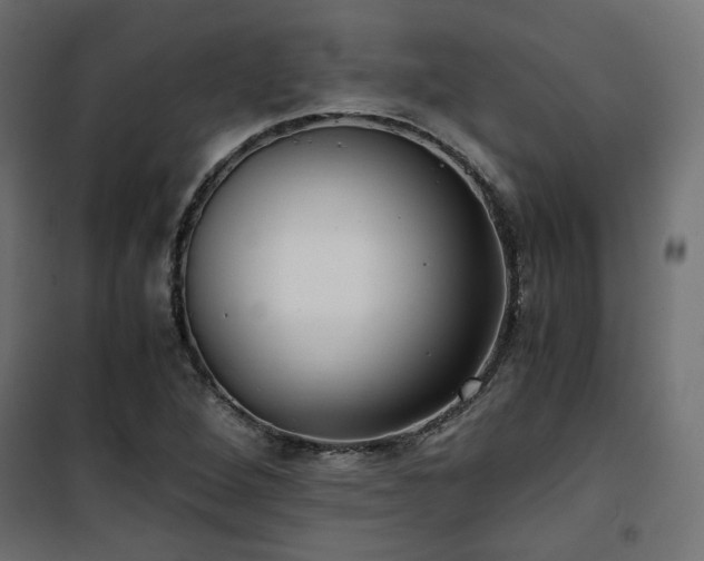 X0000101441264200807141257