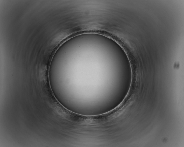 X0000101441265200807141257