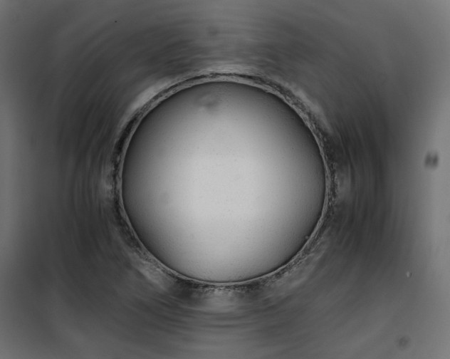 X0000101441266200807141257