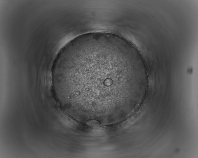 X0000101441267200807141257