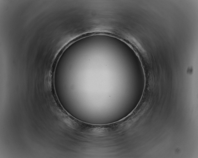 X0000101441268200807141257