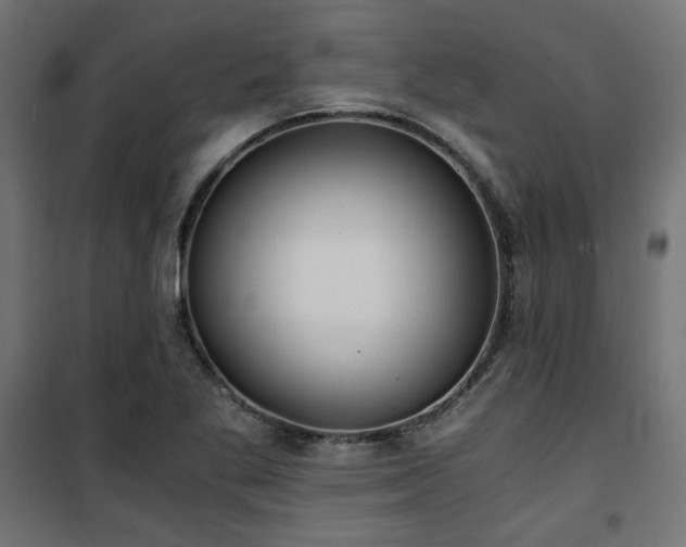 X0000101441269200807141257