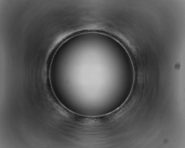 X0000101441270200807141257