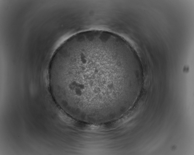 X0000101441271200807141257