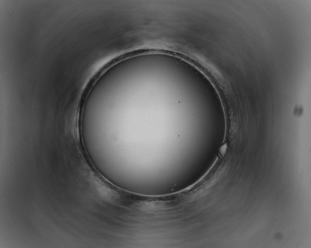 X0000101441272200807141257