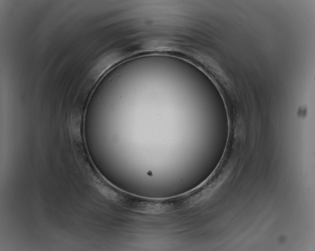 X0000101441273200807141257