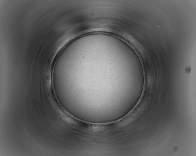 X0000101441274200807141257