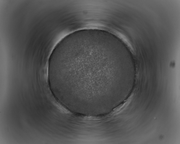 X0000101441275200807141257