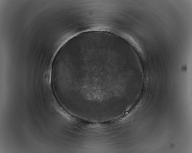 X0000101441276200807141257