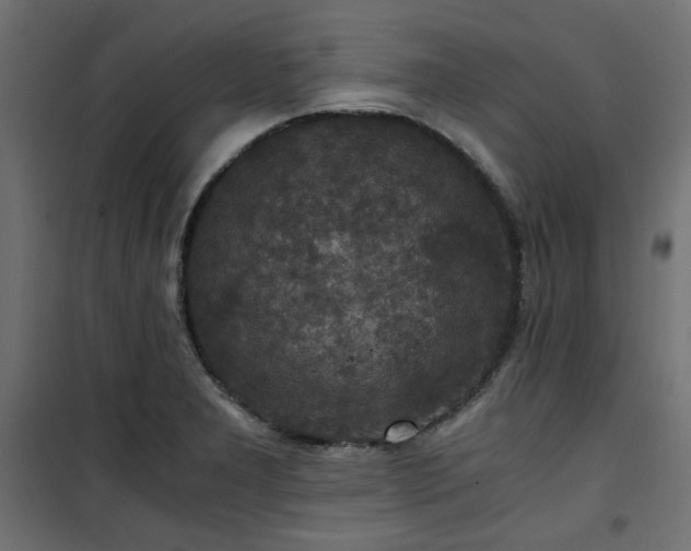 X0000101441277200807141257