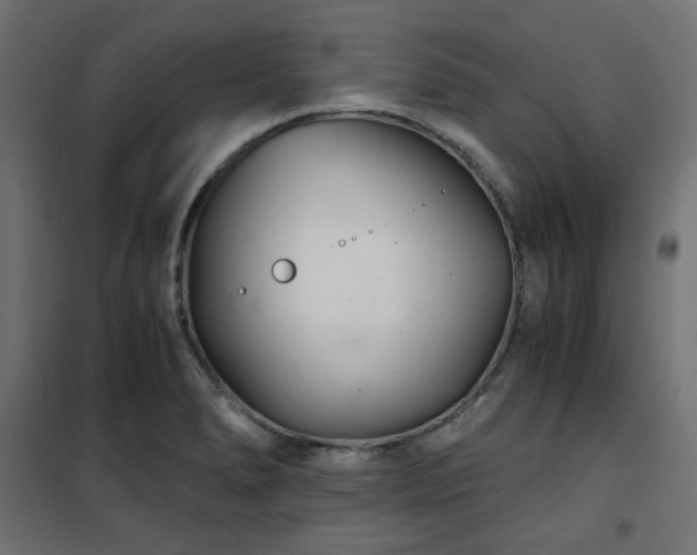 X0000101441278200807141257