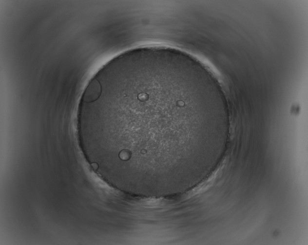 X0000101441279200807141257