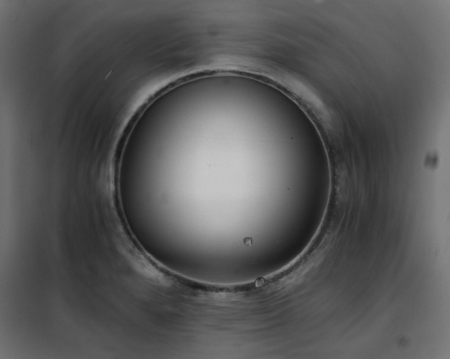 X0000101441280200807141257