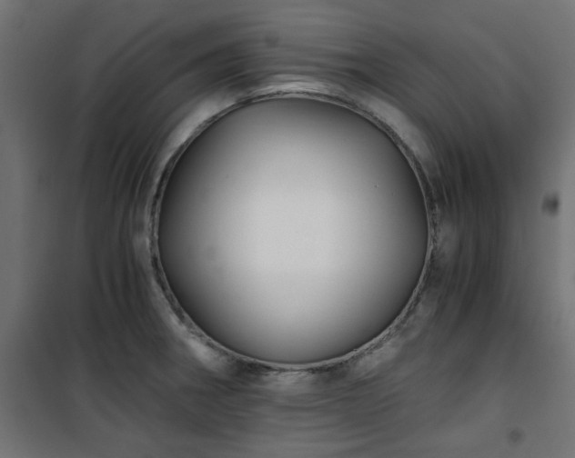 X0000101441282200807141257