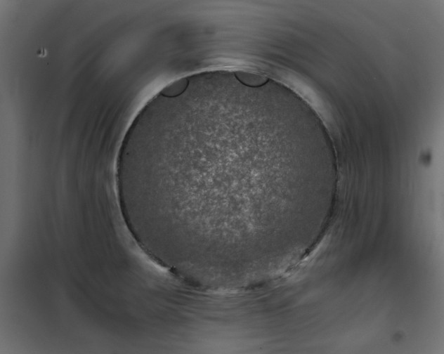 X0000101441283200807141257