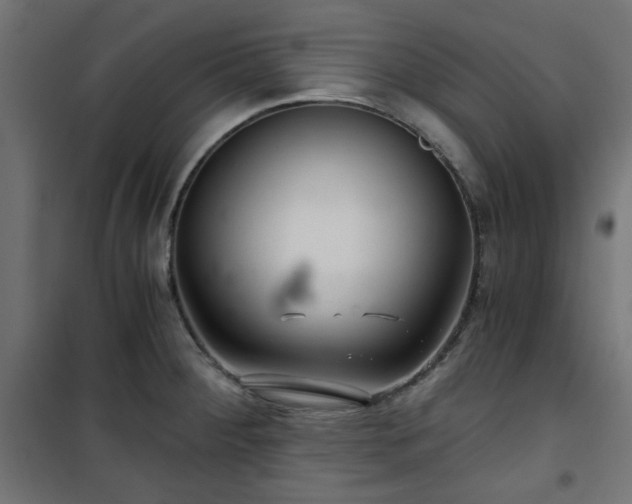 X0000101441284200807141257