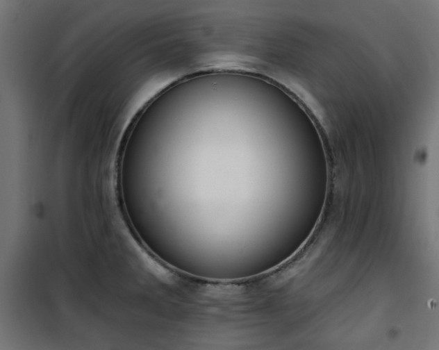 X0000101441285200807141257