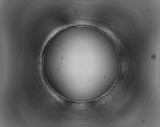 X0000101441286200807141257