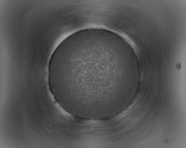 X0000101441287200807141257