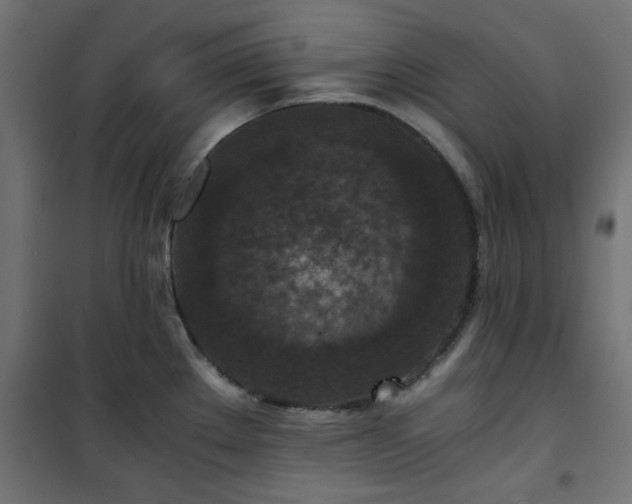 X0000101441289200807141257