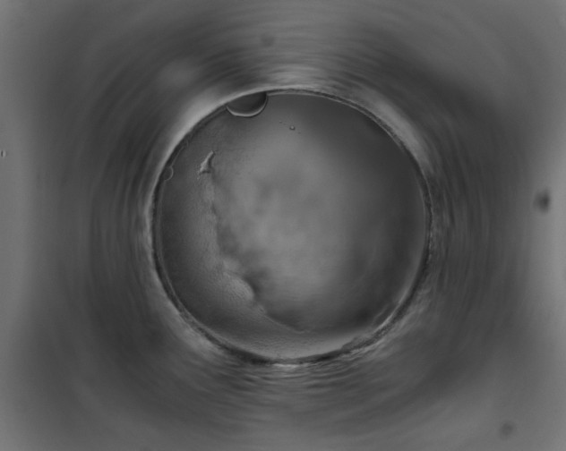 X0000101441291200807141257