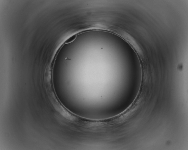 X0000101441292200807141257