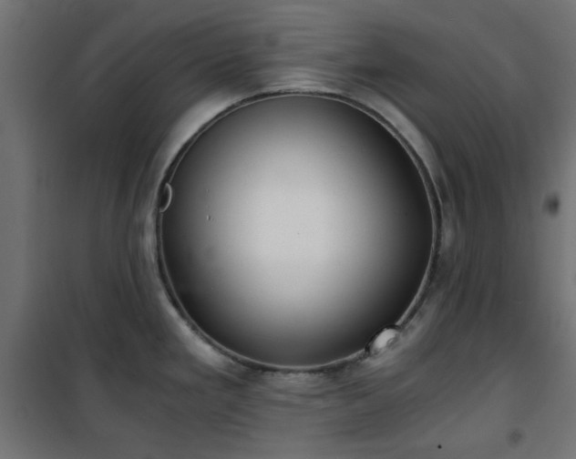 X0000101441293200807141257