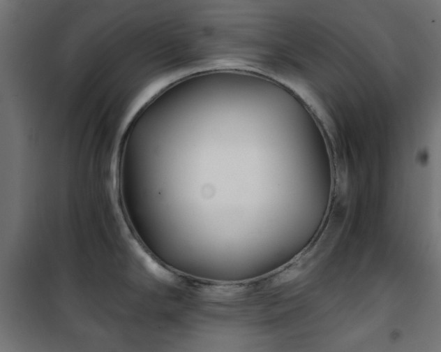 X0000101441294200807141257