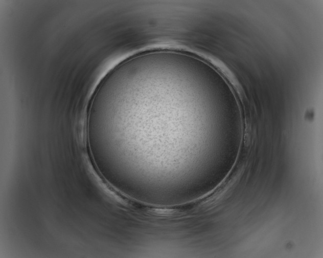 X0000101441295200807141257