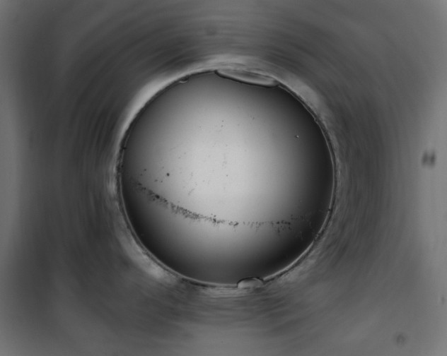 X0000101441296200807141257