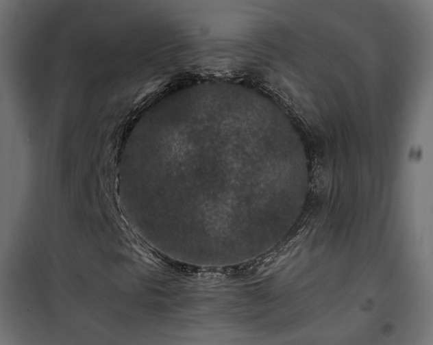 X0000101441297200807141256