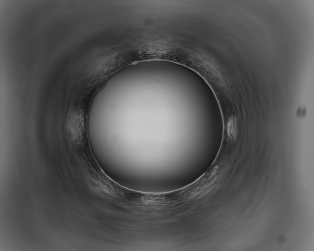 X0000101441299200807141256