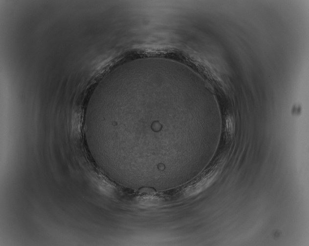 X0000101441300200807141256