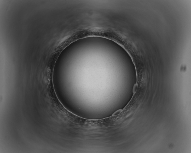 X0000101441301200807141256