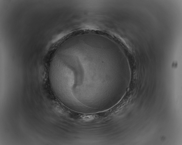 X0000101441303200807141256