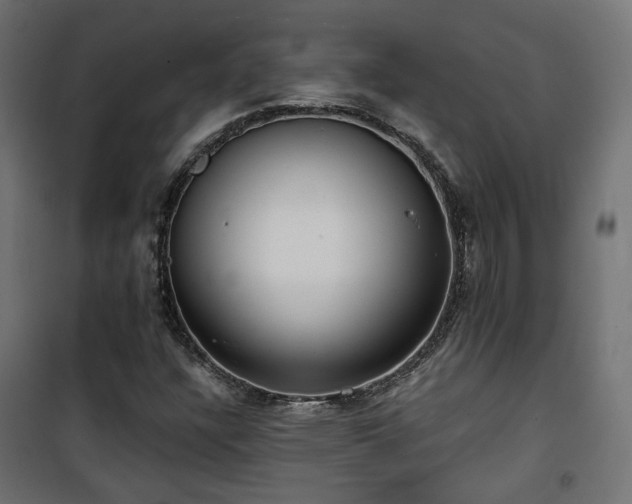 X0000101441304200807141256