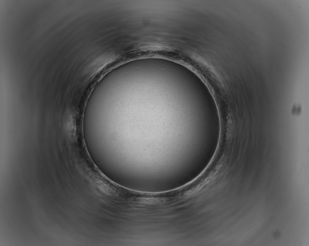 X0000101441305200807141256