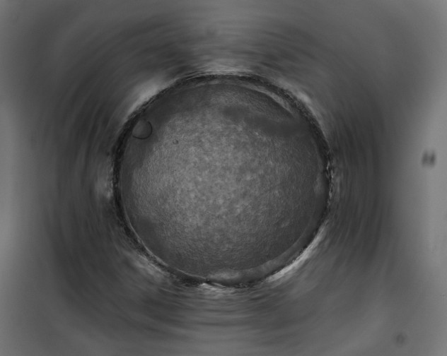 X0000101441306200807141256