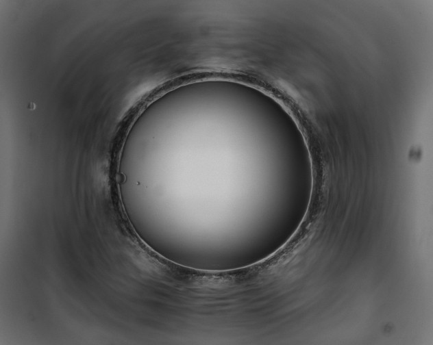 X0000101441307200807141256