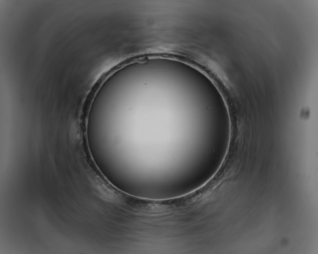 X0000101441308200807141256