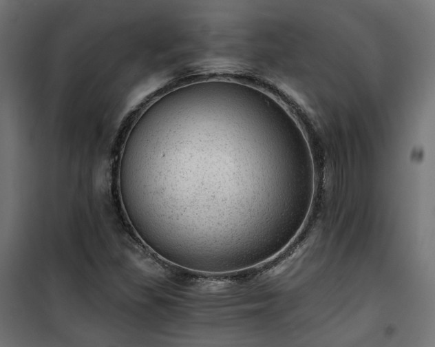 X0000101441309200807141256