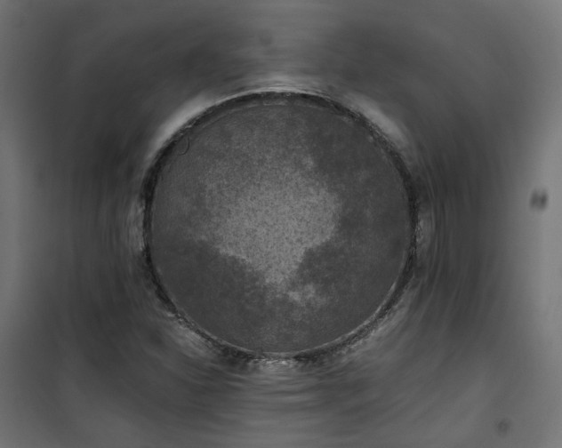 X0000101441310200807141256