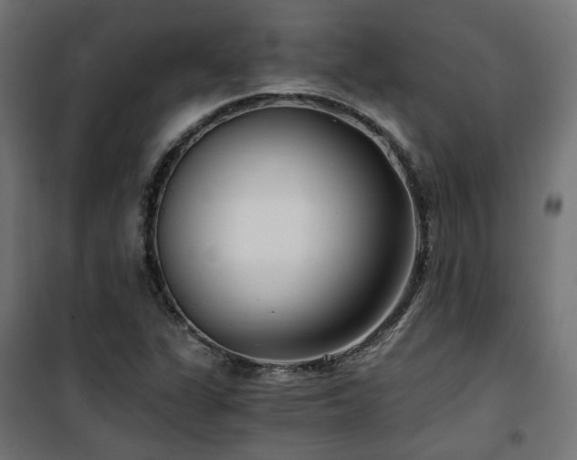 X0000101441311200807141256