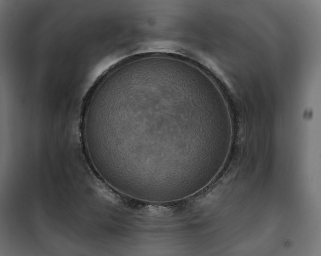 X0000101441312200807141256