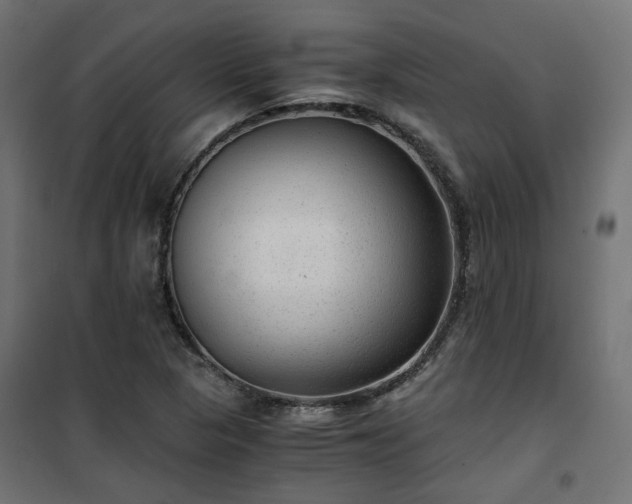 X0000101441313200807141256